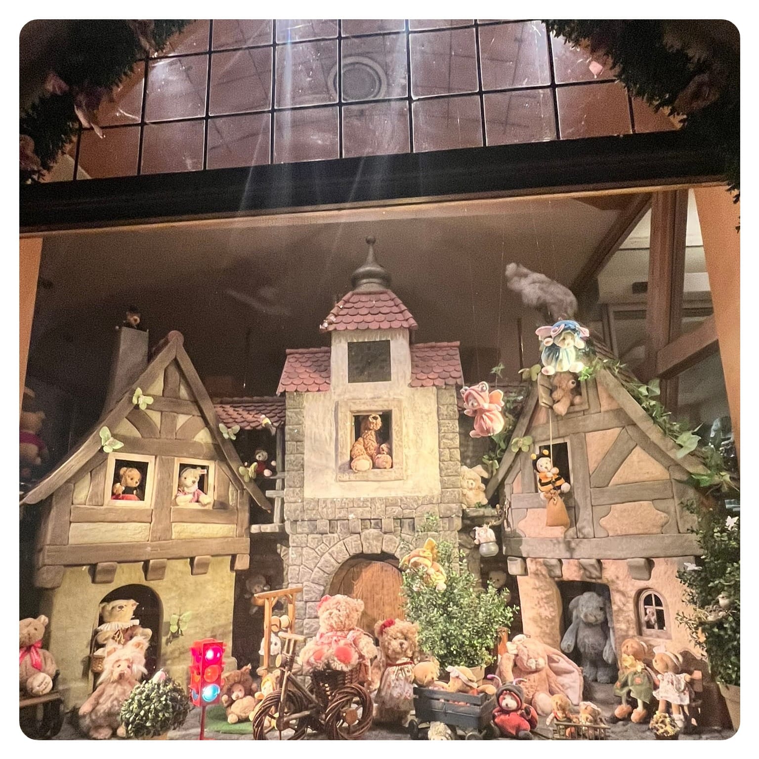 van life vanlavita picture of teddy bear display